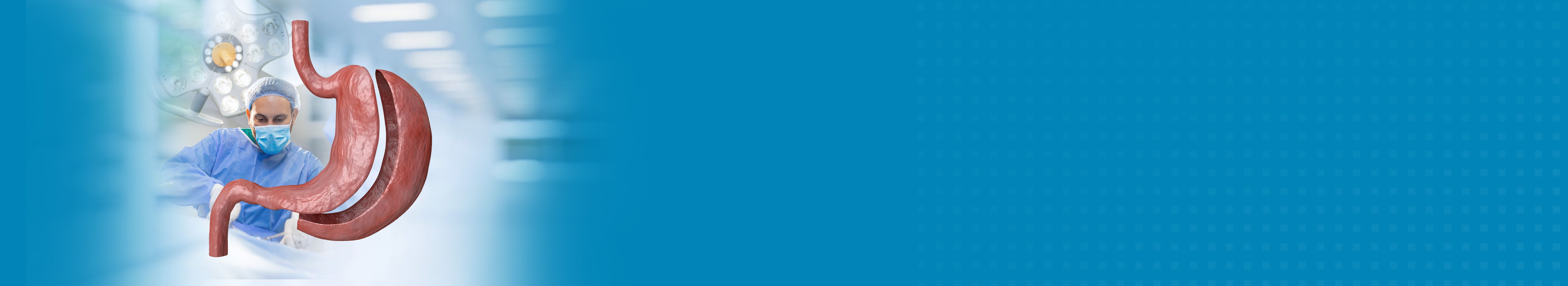 Best Hospital For Bariatric Surgery Treatment