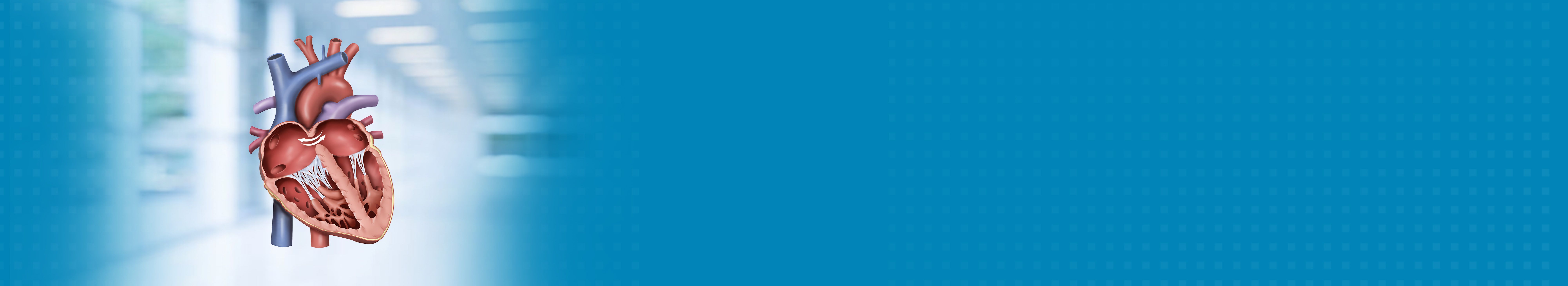 Best Atrial Septal Defect Repair Hospital