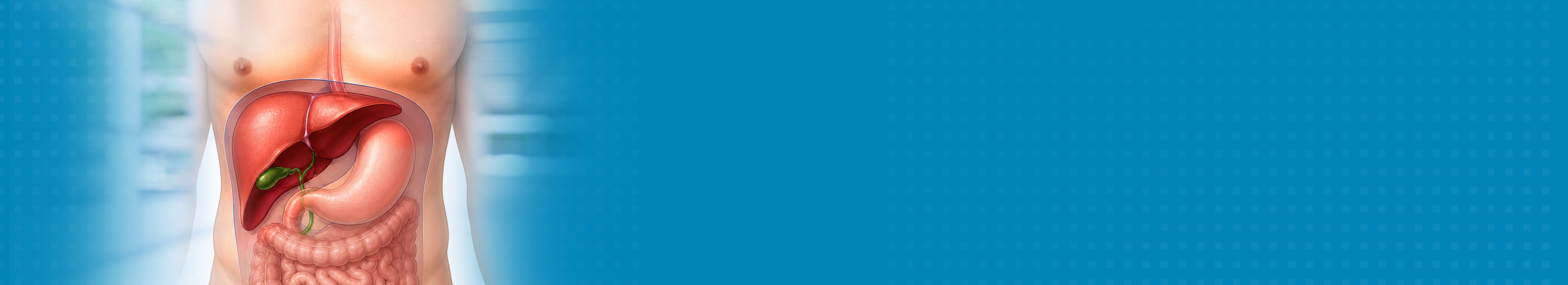 Best Enlarged Liver Treatment Hospital
