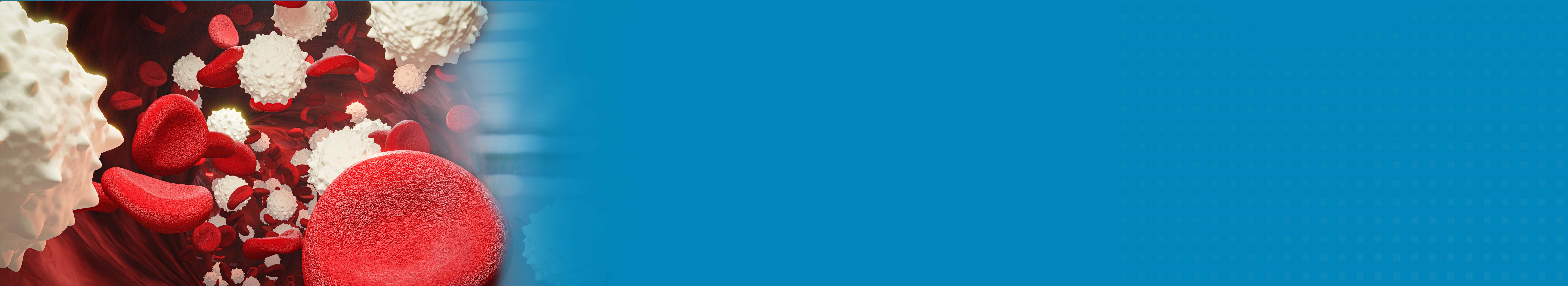 Best Hospital For Leukaemia Cancer Treatment