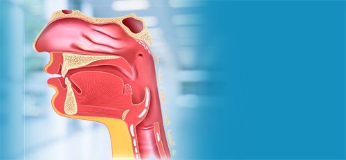 Voice, Airway and Swallowing hospital in Faridabad