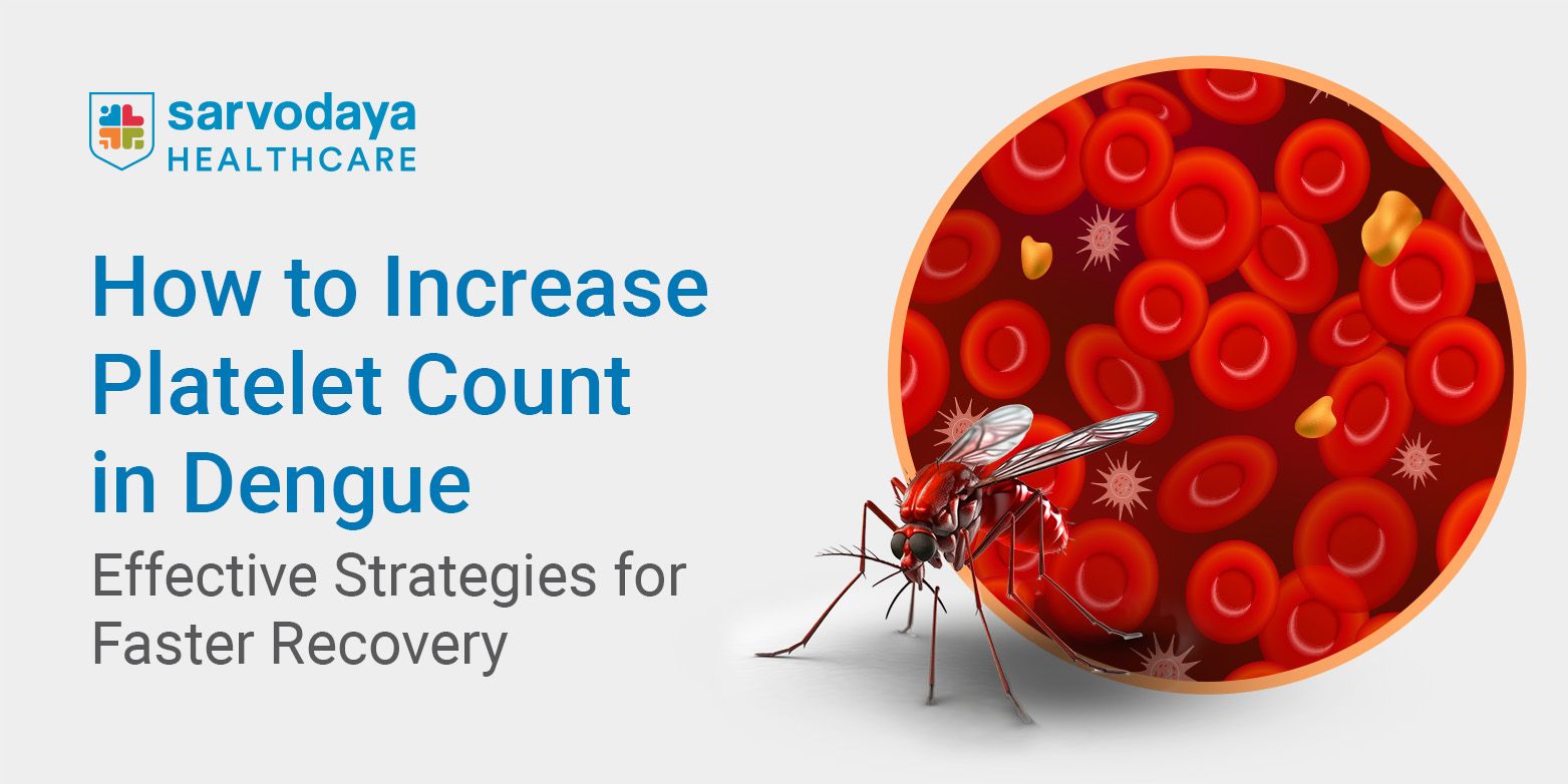How to Increase Platelet Count in Dengue