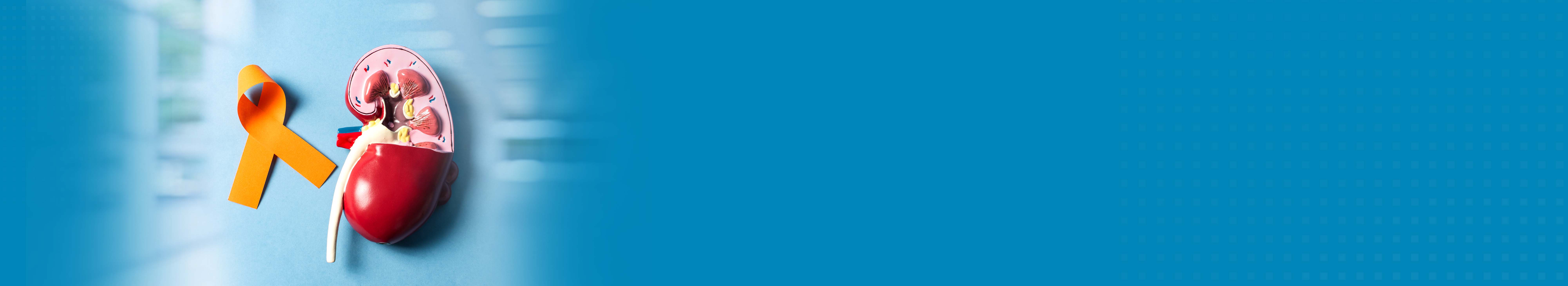 Best Hospital For Kidney Cancer Treatment