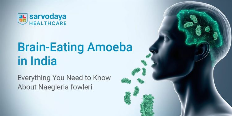 Brain-Eating Amoeba in India: Everything You Need to Know About Naegleria fowleri