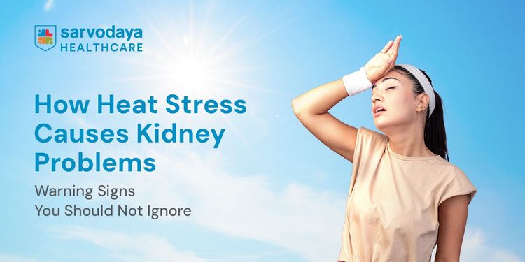 How Heat Stress Causes Kidney Problems: Warning Signs You Should Not Ignore