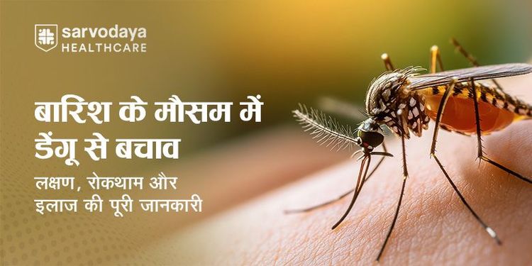 बारिश के मौसम में डेंगू से बचाव: लक्षण, रोकथाम और इलाज की पूरी जानकारी