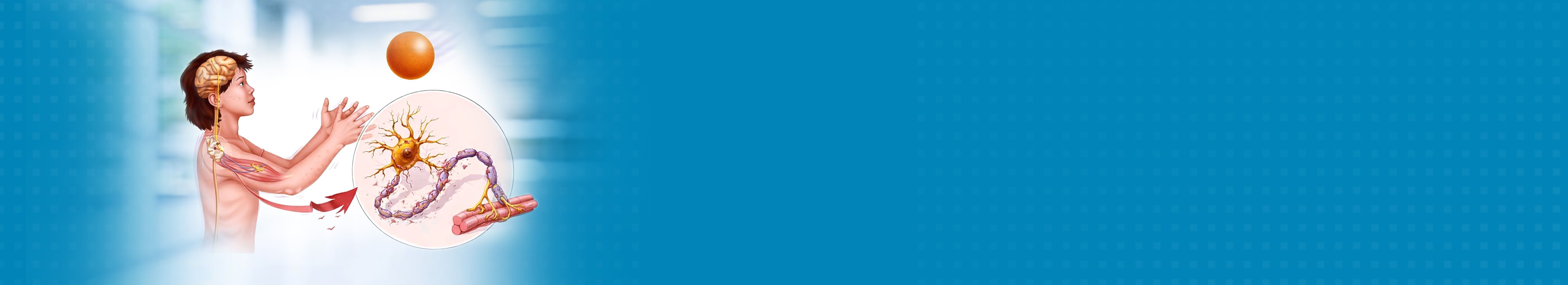 Best Hospital For Neuromuscular Disorder Treatment