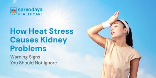 How Heat Stress Causes Kidney Problems: Warning Signs You Should Not Ignore