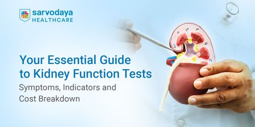 Your Essential Guide to Kidney Function Tests: Symptoms, Indicators and Cost Breakdown